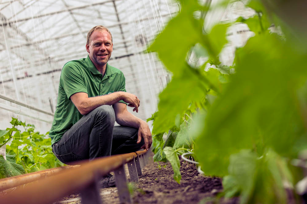 Afbeelding 2: planten overzicht
